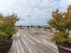 roof-deck