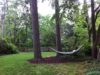 rear-yard