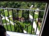 dabneyview-2