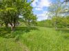 71-web-or-mls-5i7a0240