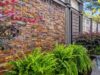 50-dsc09867